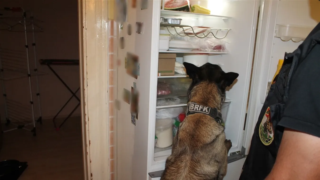 Razzia során három vevő is becsengetett a dílerhez: a rendőrkocsiktól sem jöttek zavarba