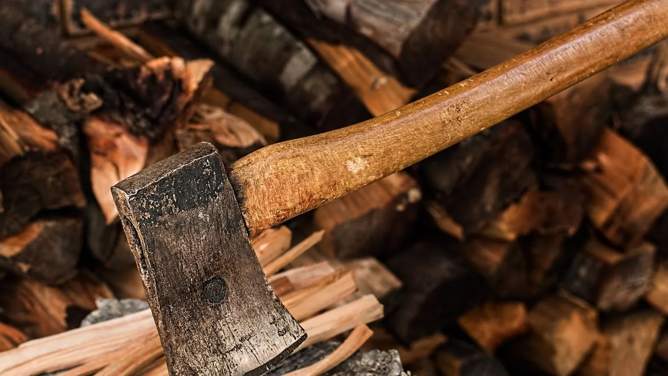 Hihetetlen: egy telefonért ezzel verte agyon az apát és a fiát a magyar férfi