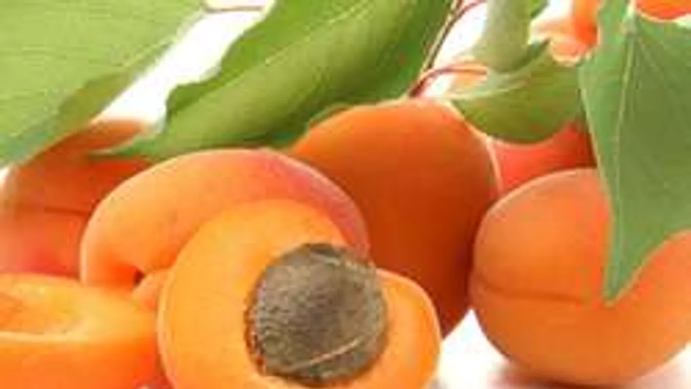 Veszélyben a lekvárfőzés, egekbe szökhet a barack ára!