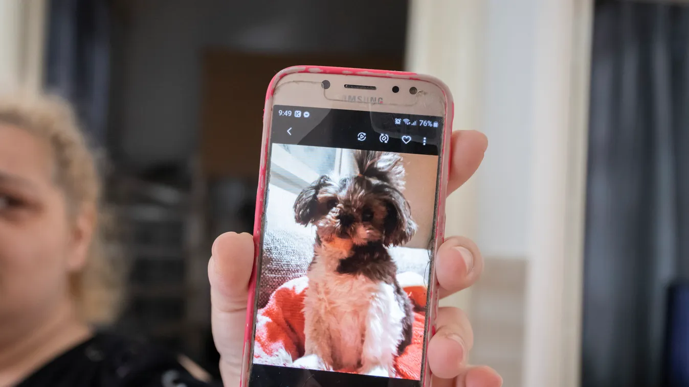 Páros lábbal szálltak bele a gazdi gyászába a magyar politikus Facebook-oldalán