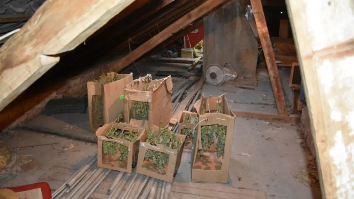 Berontottak a rendőrök a szentesi házba, durva, amit ott találtak