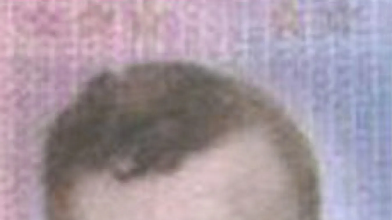 Pszichésen beteg a szabadon engedett késes támadó