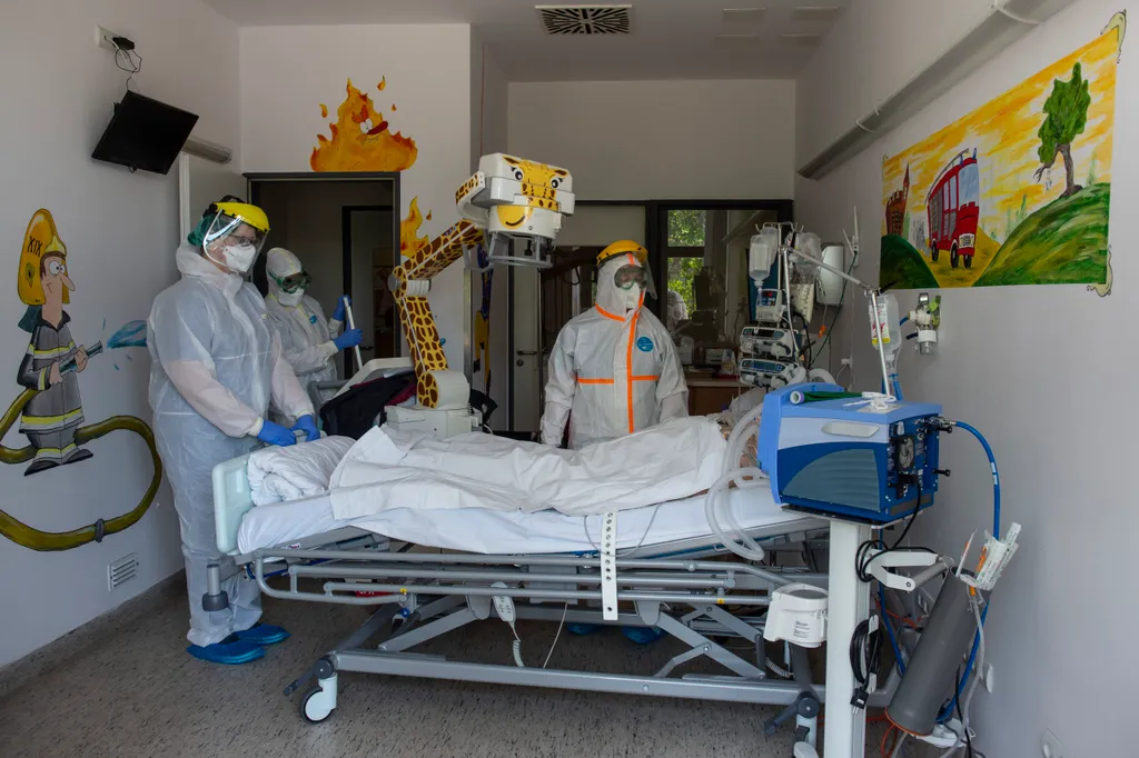 Fotó: Árvai Károly / kormany.hu