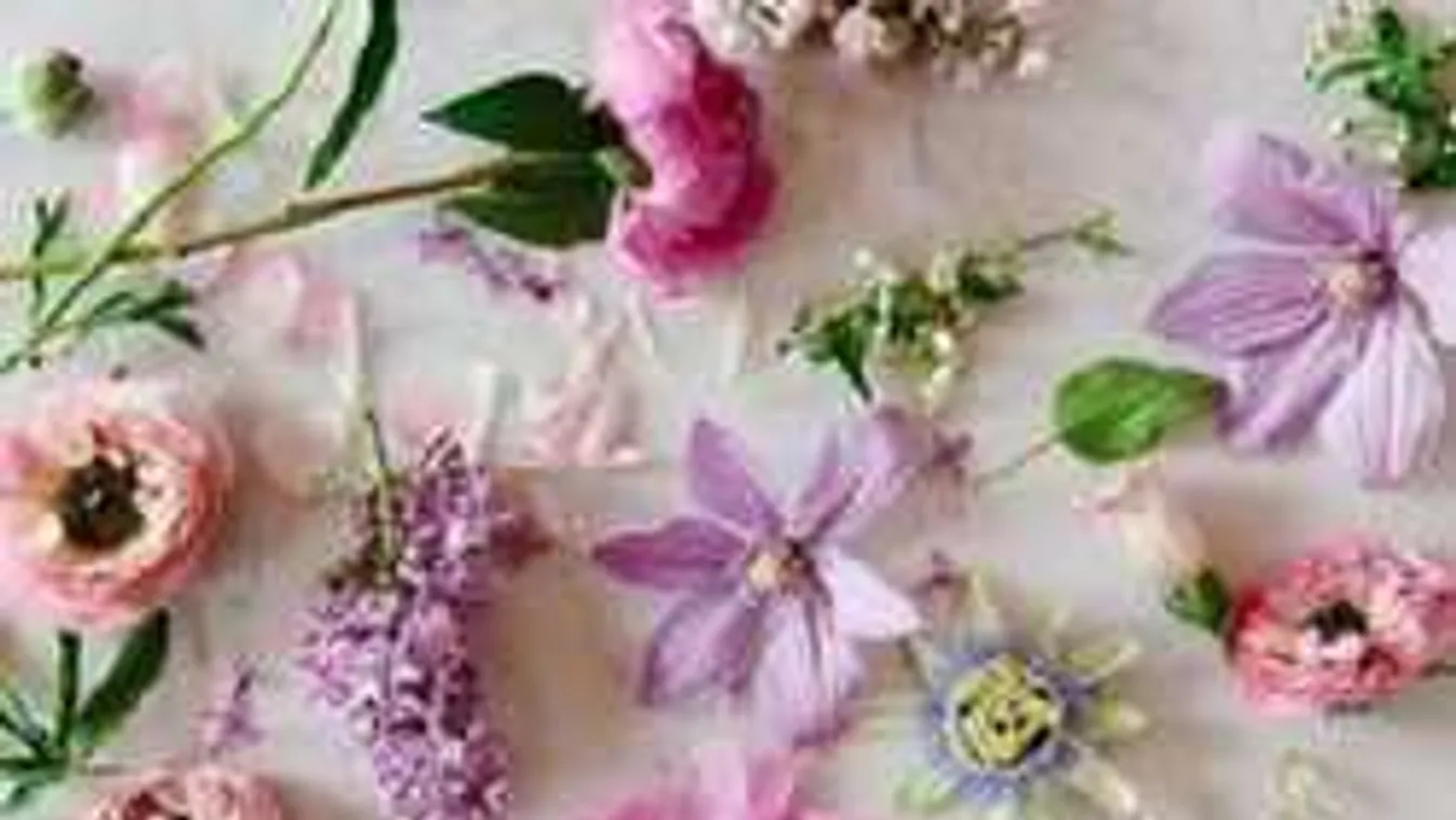 Ezt árulja el személyiségedről a kedvenc virágod