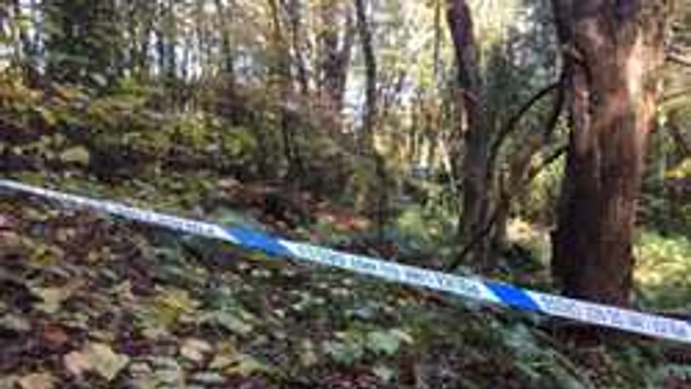 Túszdráma egy dunántúli erdőben, a rendőrség avatkozott közbe