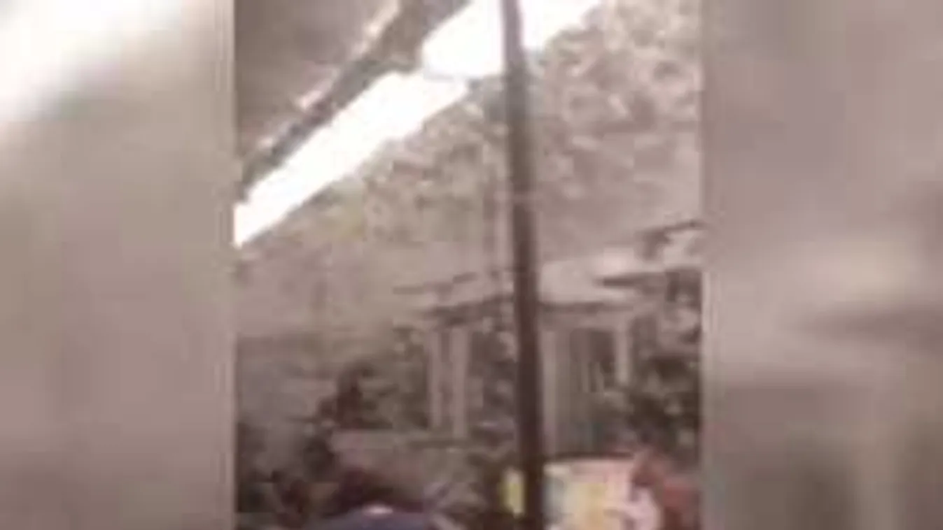 Sokkot kaptak az utasok: durva rovarinvázió volt a csepeli HÉV-en