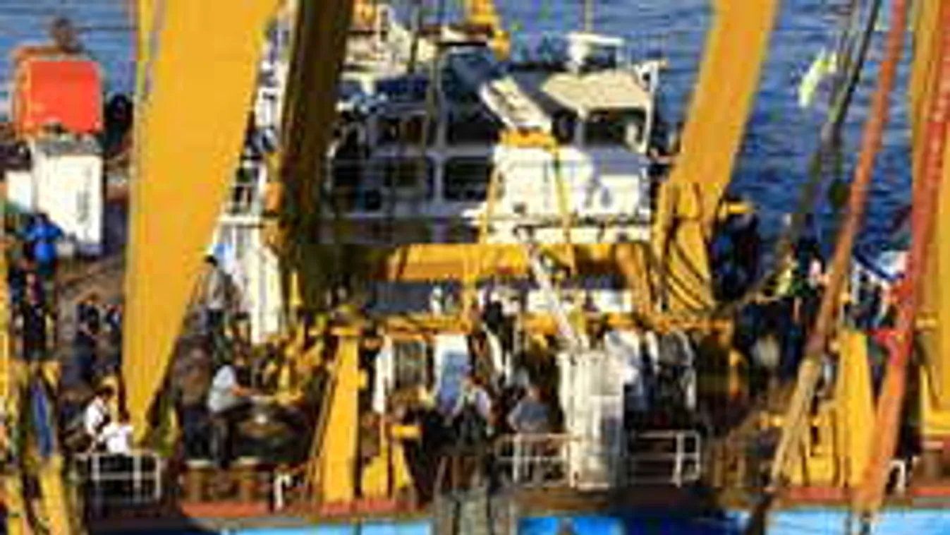 Friss fotó, koreai búvárokat hozott a TEK a Margitszigethez