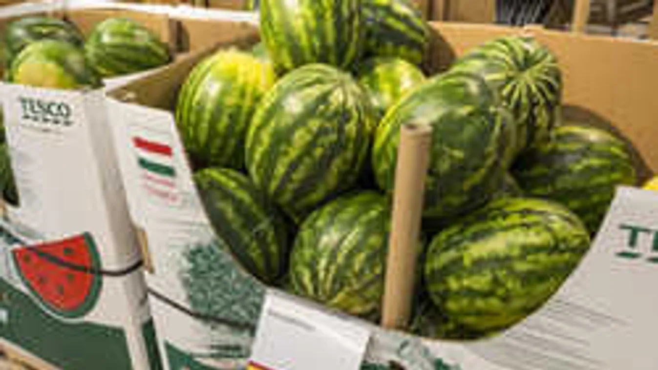 Kitört a dinnyeháború!