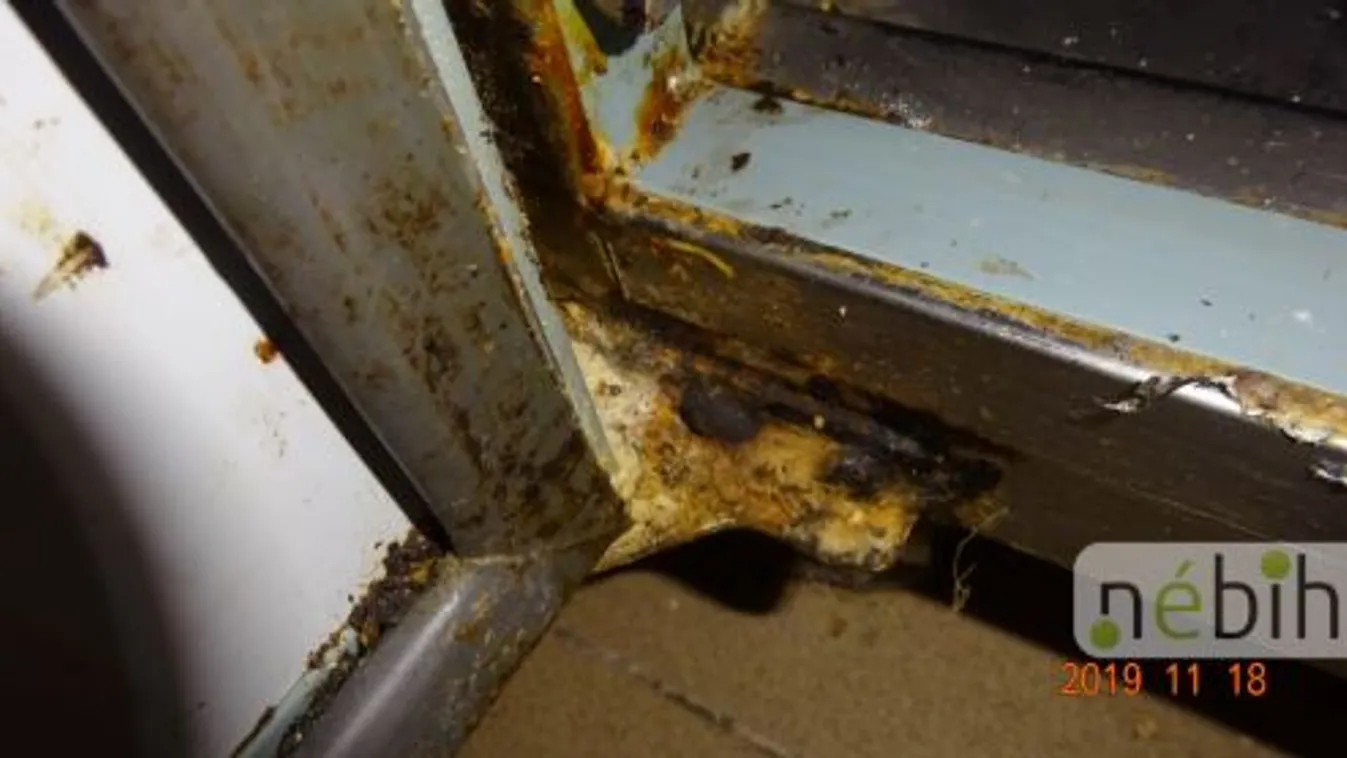 Az ellenőrök is elborzadtak a csepeli pékségben: embertelen, amit találtak