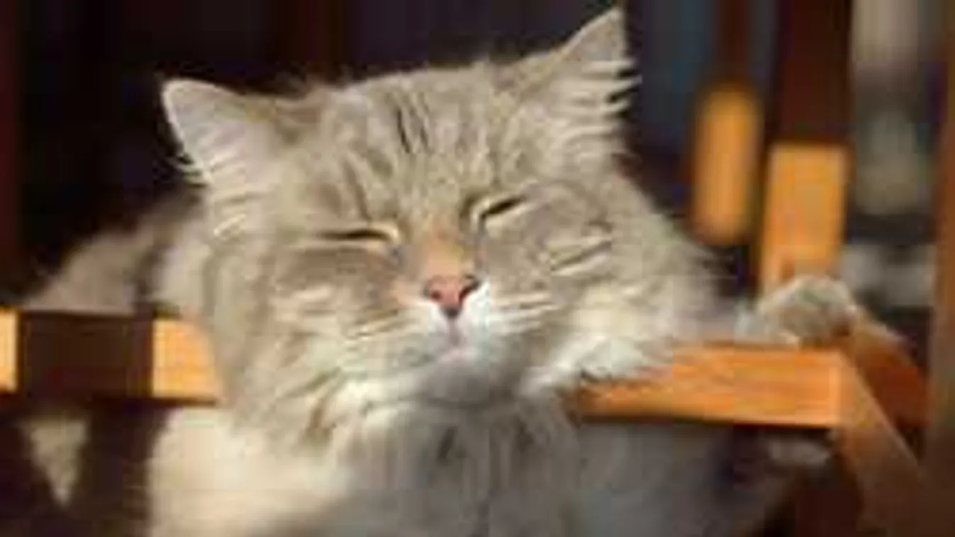 Rendkívüli időt hoz a hétvége, erre készülj