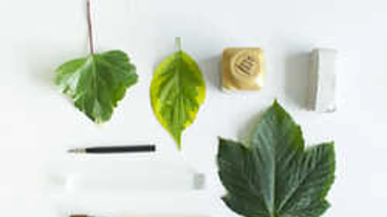 Filléres ötlet: őszi levélből készítsetek limlomos tálkát