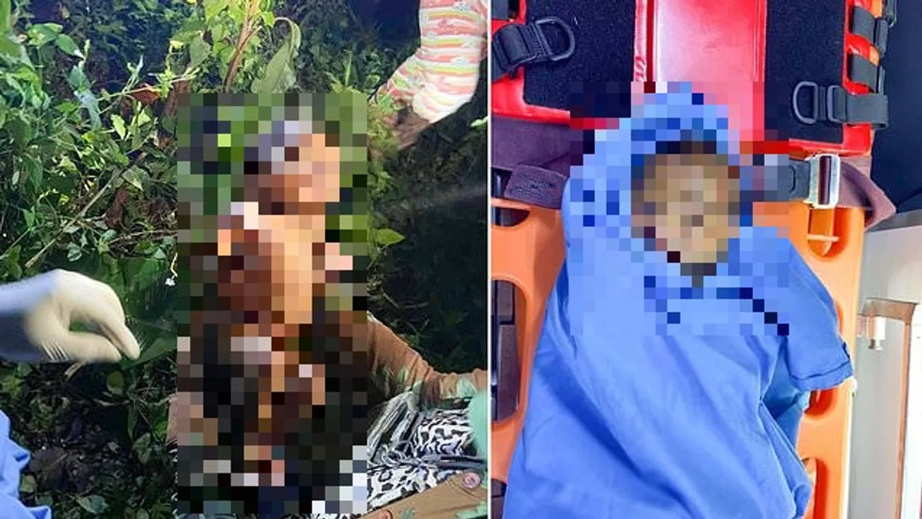 Megrázó videó: férgek és rovarok mászkáltak az újszülött egész testén, akit az erdőben találtak meg élve-videó