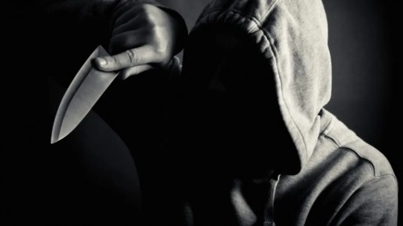 Agyonlőttek egy késsel fenyegetőző szudáni migránst a német rendőrök