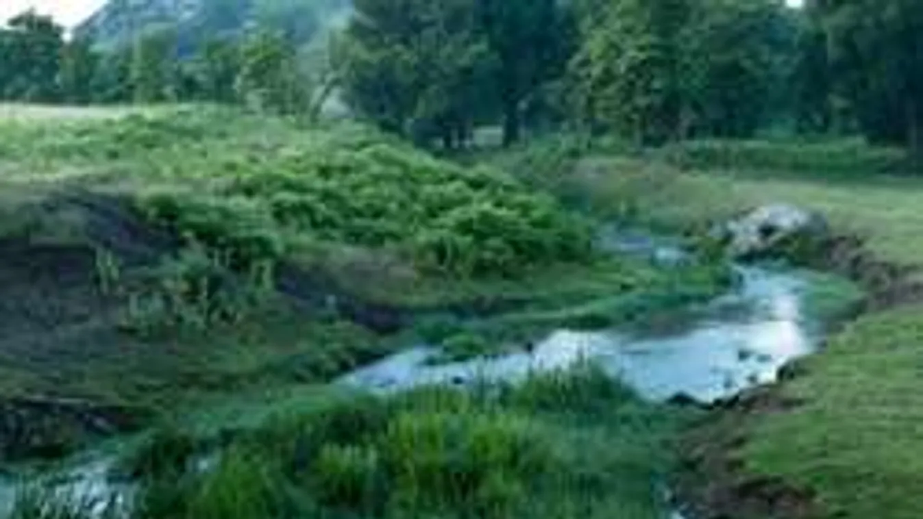 Azonosították a sóskúti Benta patakban talált nő holttestét