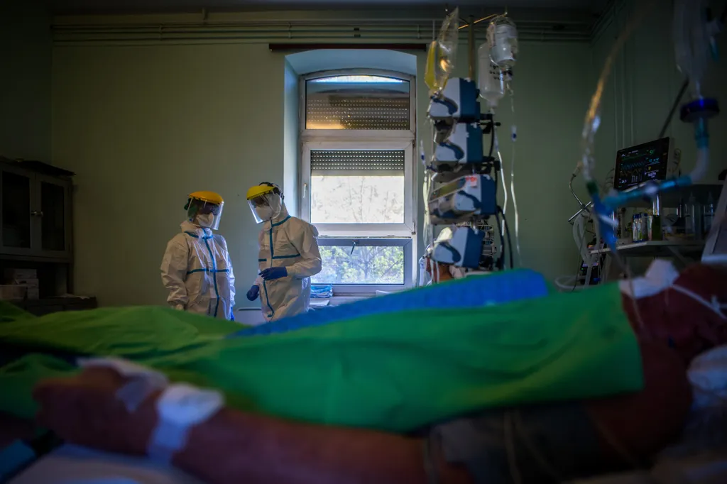 Fotó: Balogh Zoltán / MTI