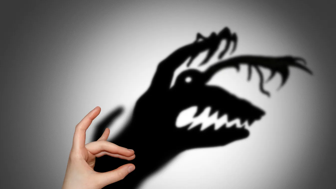 Fear,,Fright,,Shadow,On,The,Wall