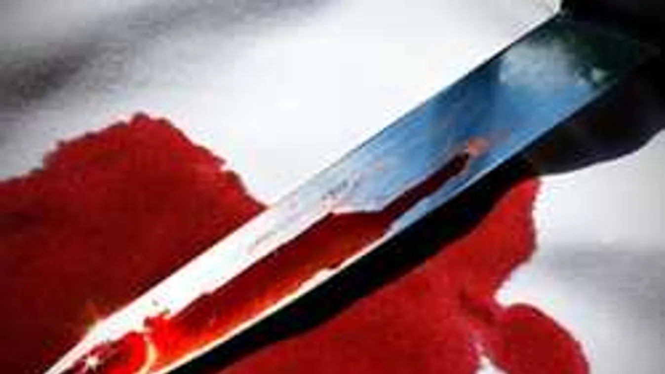 Brutális gyilkosság történt Bicskén