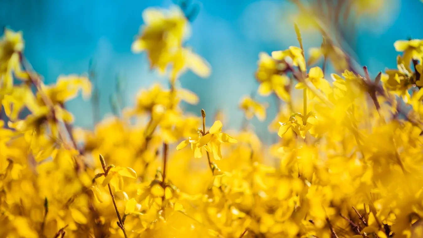 Ma még napos időnk lesz, de hétfőtől már durva változás jön