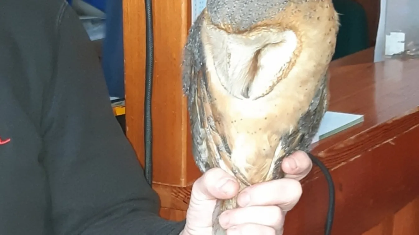 Furcsa dolgot vettek észre az M3-ason a rendőrök, azonnal intézkedni kellett