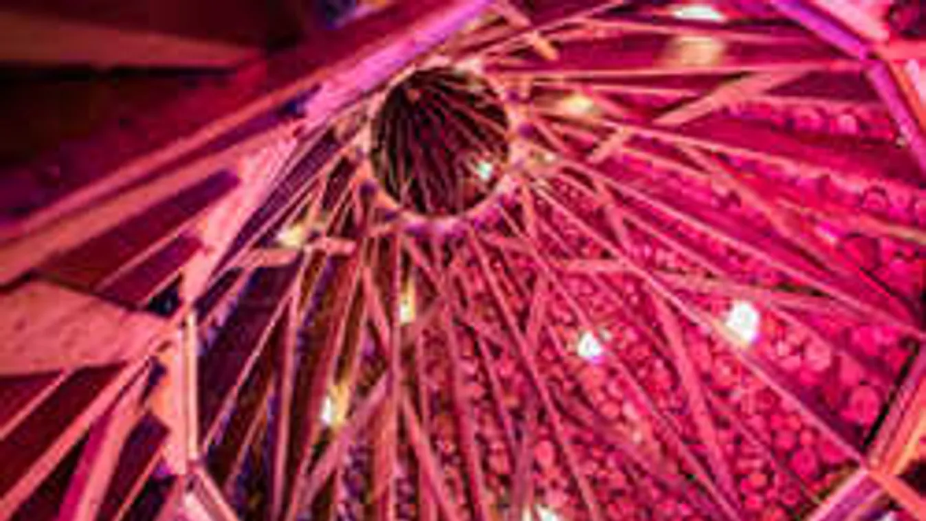 Ez az óbudai karácsonyfa az angol Top5-be is bekerült - fotó