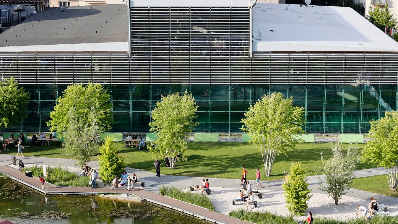 Olimpiai ritkaságok a Millenárison