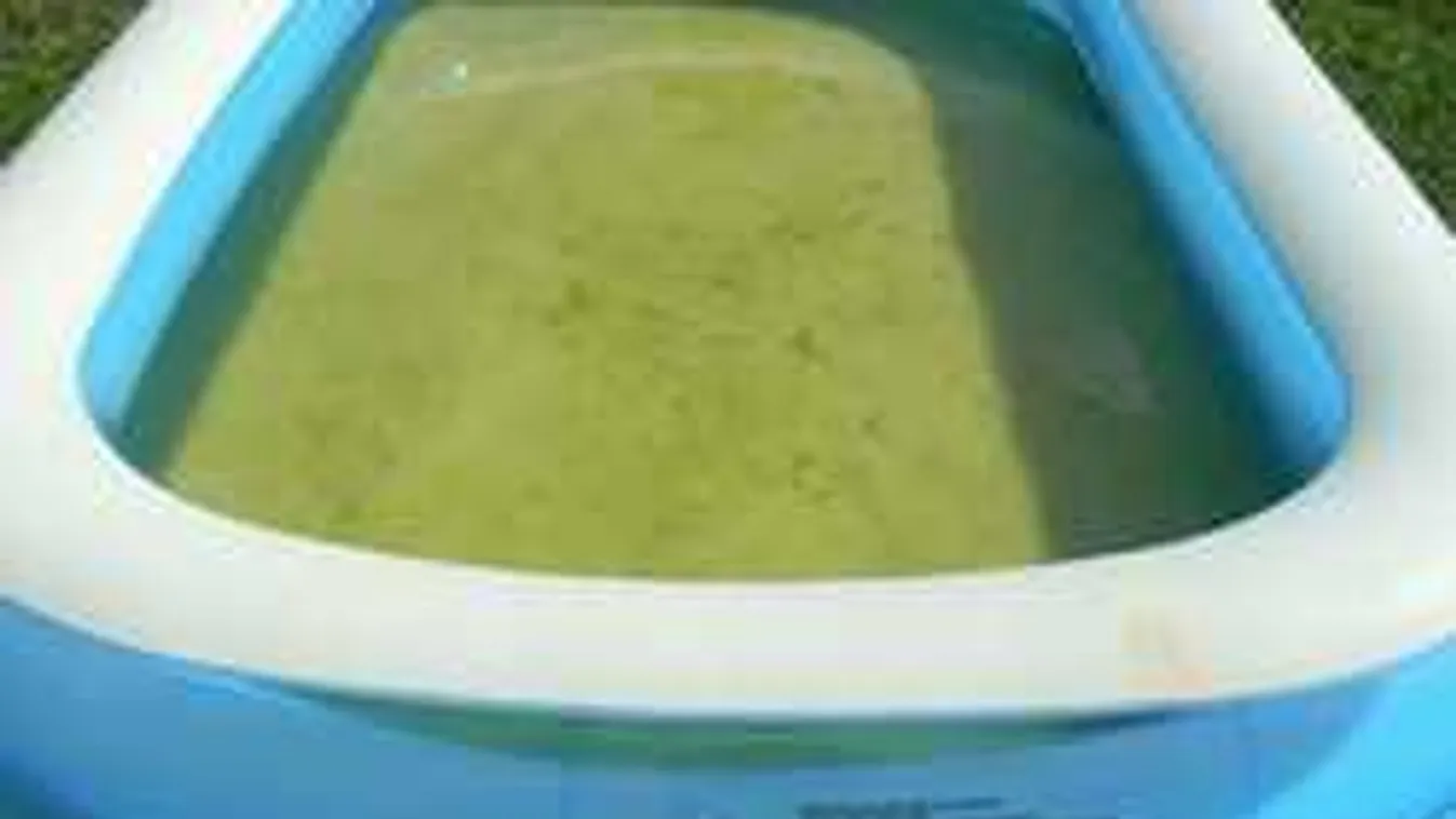 Bezöldült a víz a kerti medencédben? Így tisztíthatod vegyszerek nélkül!