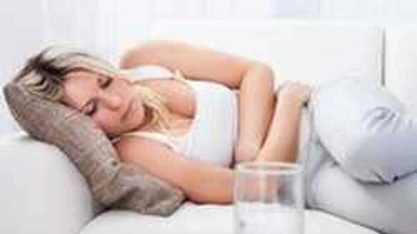 Fizetett "menzeszszabi" bevezetését tervezik