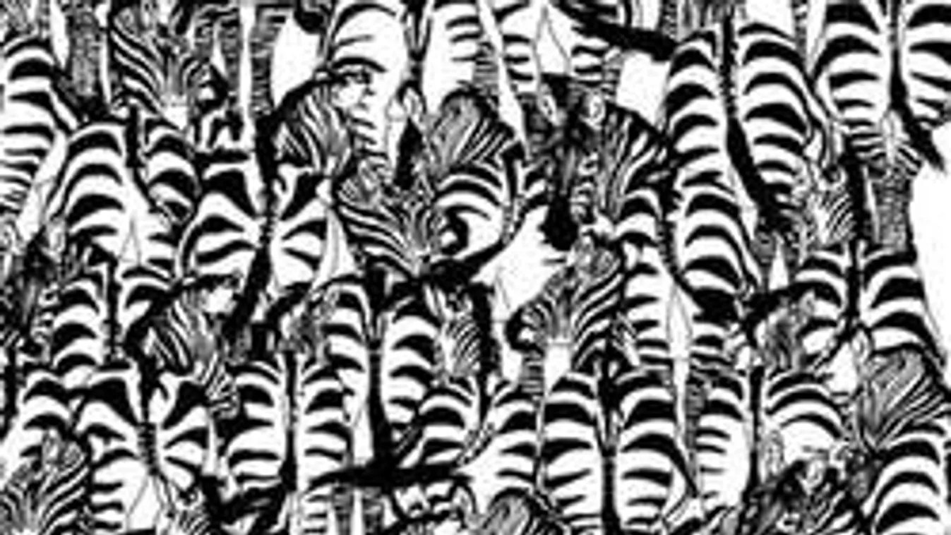 Ezt a rejtvényt az emberek 90%-a nem bírja megoldani! Te képes vagy rá?