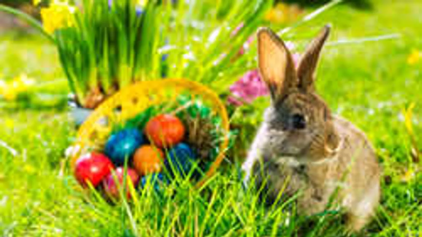 Szívszorító, mit tett ez a 9 éves kislány a kórházi beteg gyerekekért