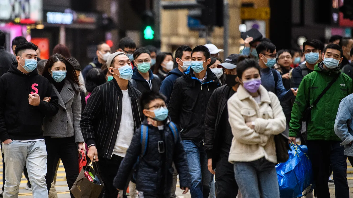 Hoppá: mégsem denevértől indult a koronavírus