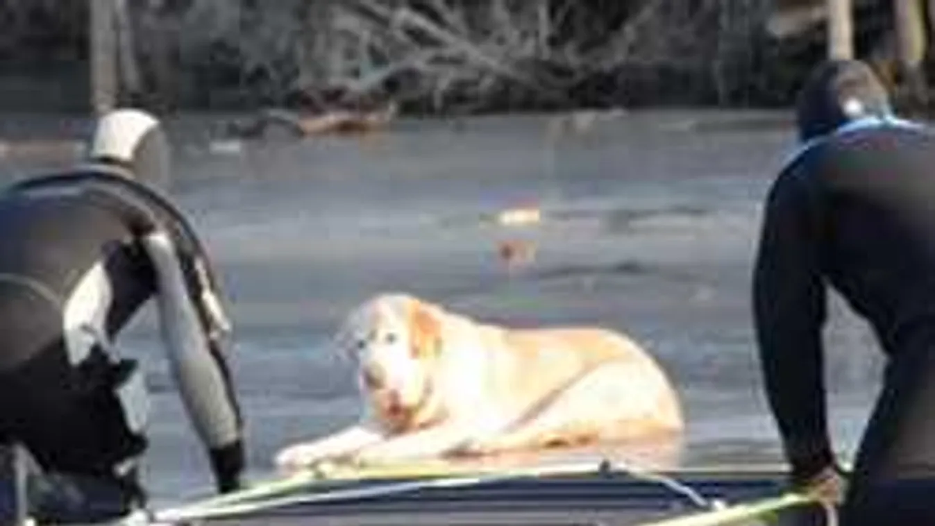 Így mentették ki a tűzoltók a kutyát a befagyott tóról - videó