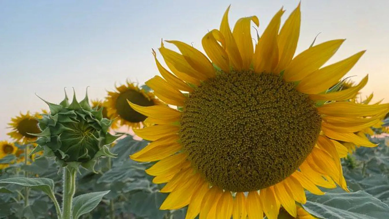Itt a friss időjárási veszélytérkép, két megyében harmadfokú riasztás érvényes