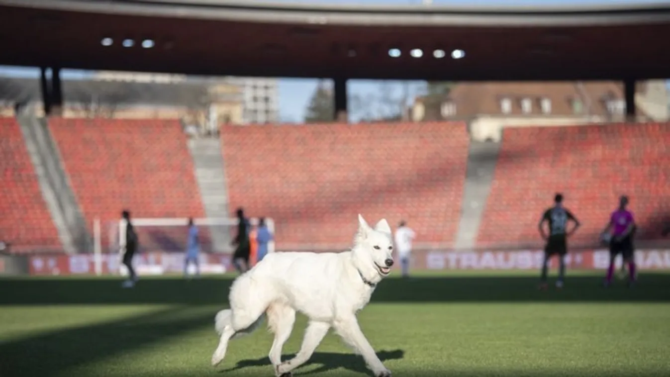 Chilla nagyobb sikert aratott, mint a focisták