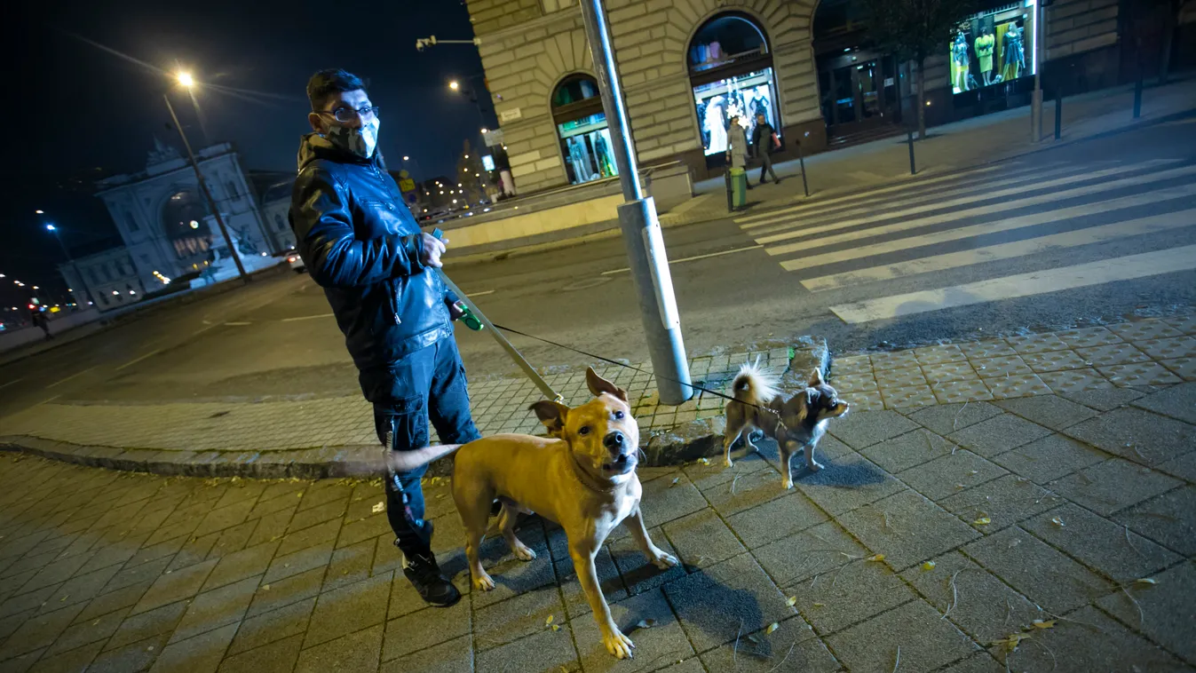Ami mindenkit érdekel: csak kutyát lehet sétáltatni esténként? – videó