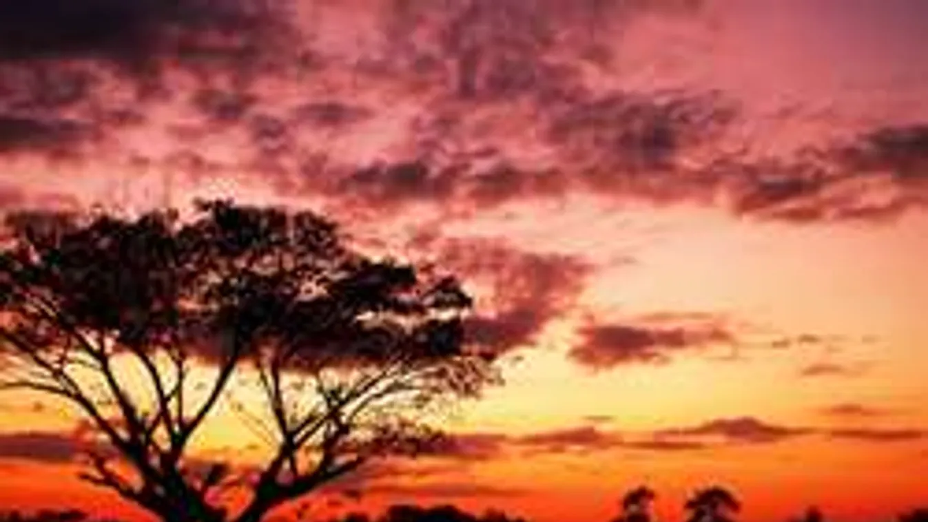 Az apaji horrorházban két embert is megöltek egy év alatt