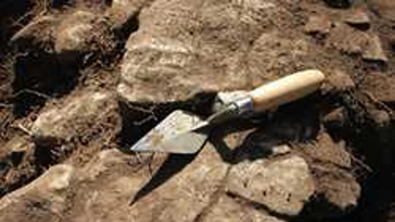 Emberi maradványokat találtak Encs határában