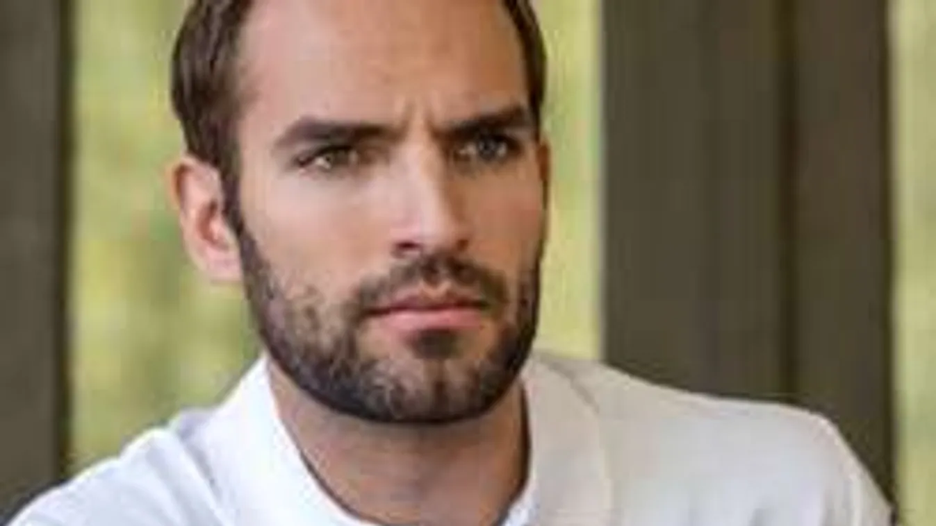 Elnöknek választották Szilágyi Áront