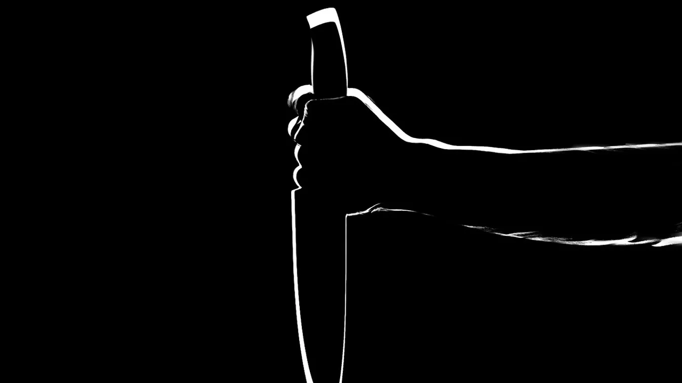 A torkától a hasáig felvágta gyilkosa az oroszlányi édesanyát