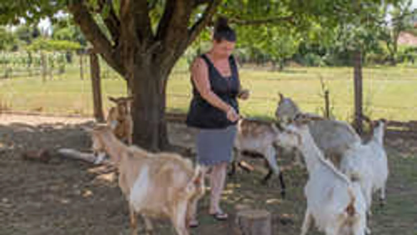 Kimenekült a fővárosból: Csoda kis birodalmat varázsolt maga köré ez a nő