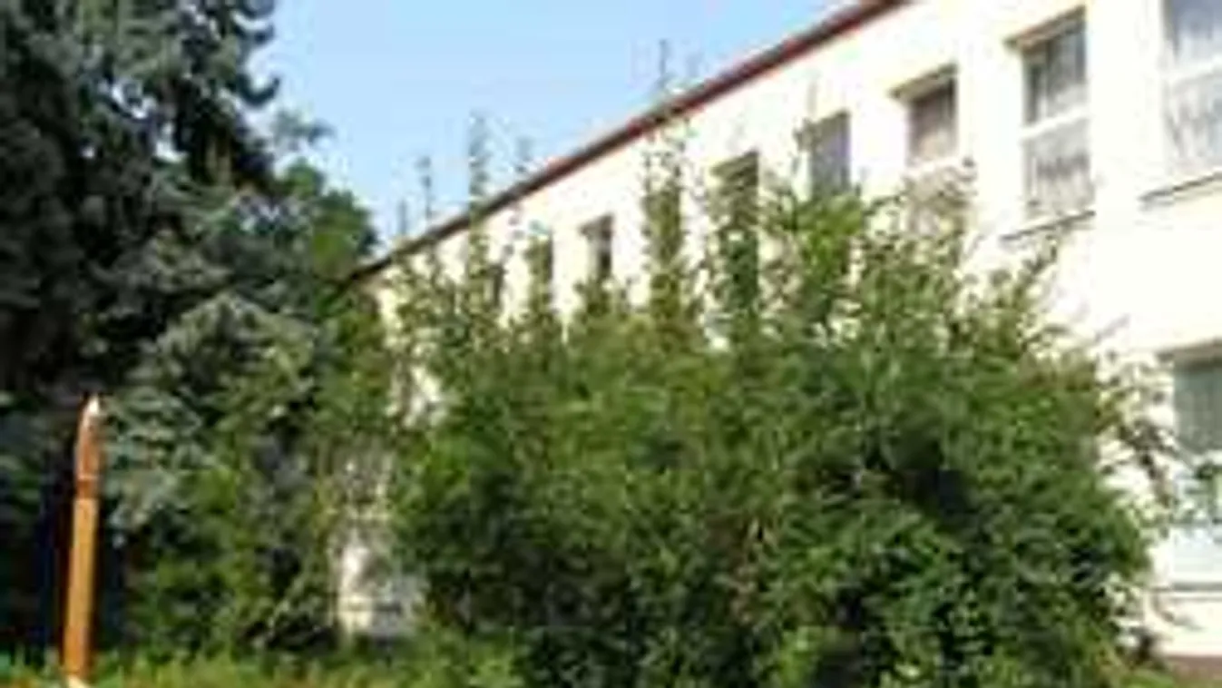 Elképesztő, milyen lépcsőn sétálnak az általános iskola diákjai