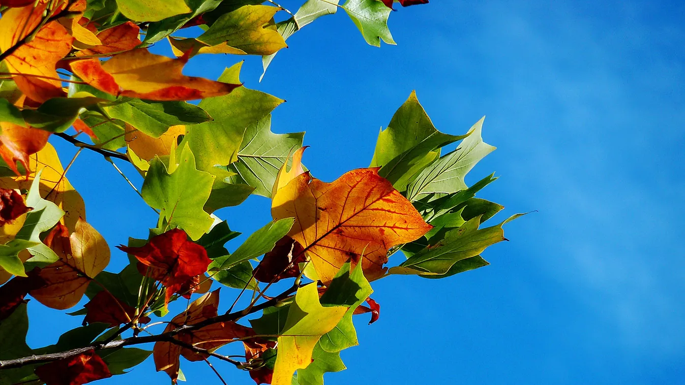 Beköszöntött az igazi ősz, ilyen időnk lesz ma