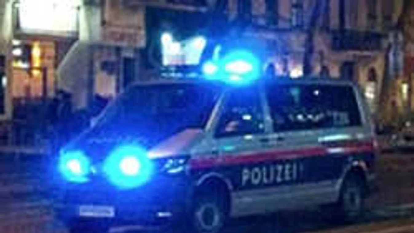 Egy elit alakulatban a Koránra tett esküt a bécsi katonára támadó migráns