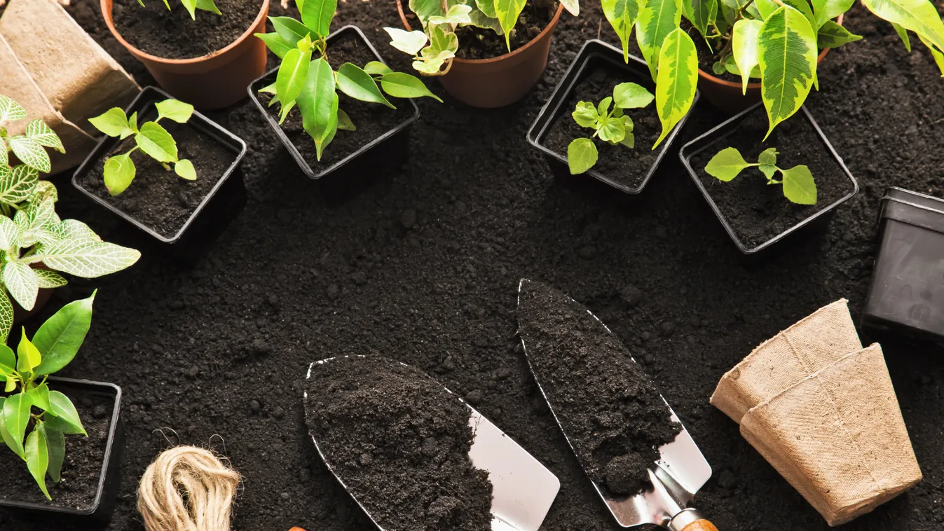 7 eszköz, ami egy kertből sem hiányozhat (X)