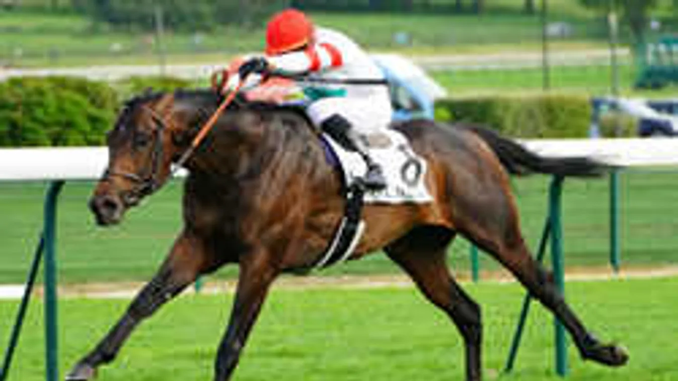 Világbajnok focista lovával küzd meg a magyar csodaló