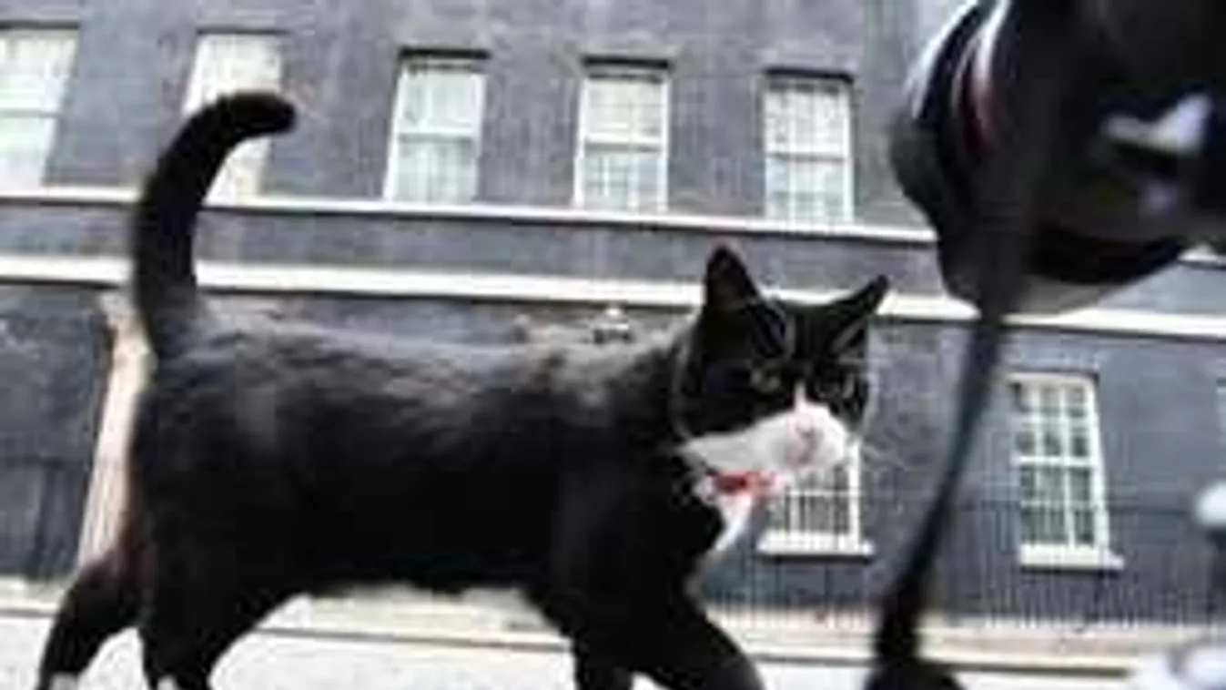 Igazi cicaharc a hivatalok között: a külügy nyert