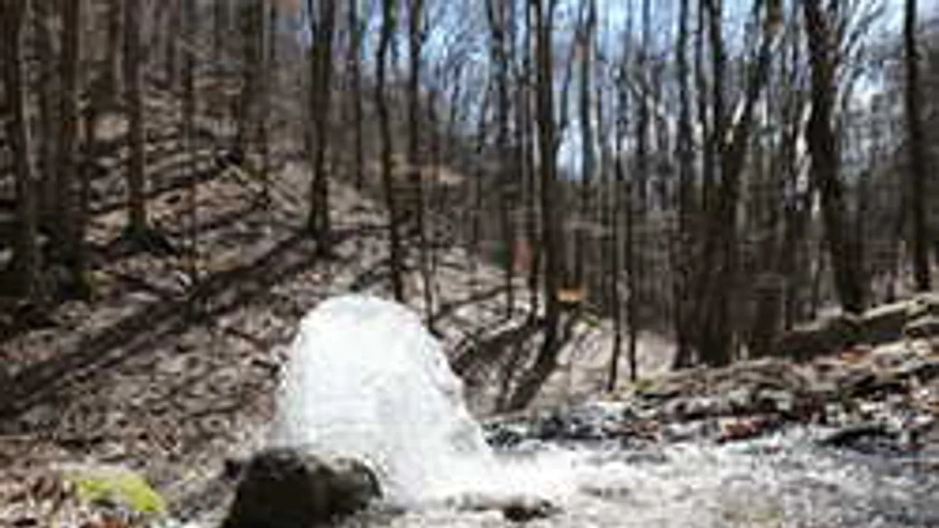 Lélegzetelállító természeti jelenséget videóztak le a Bükkben