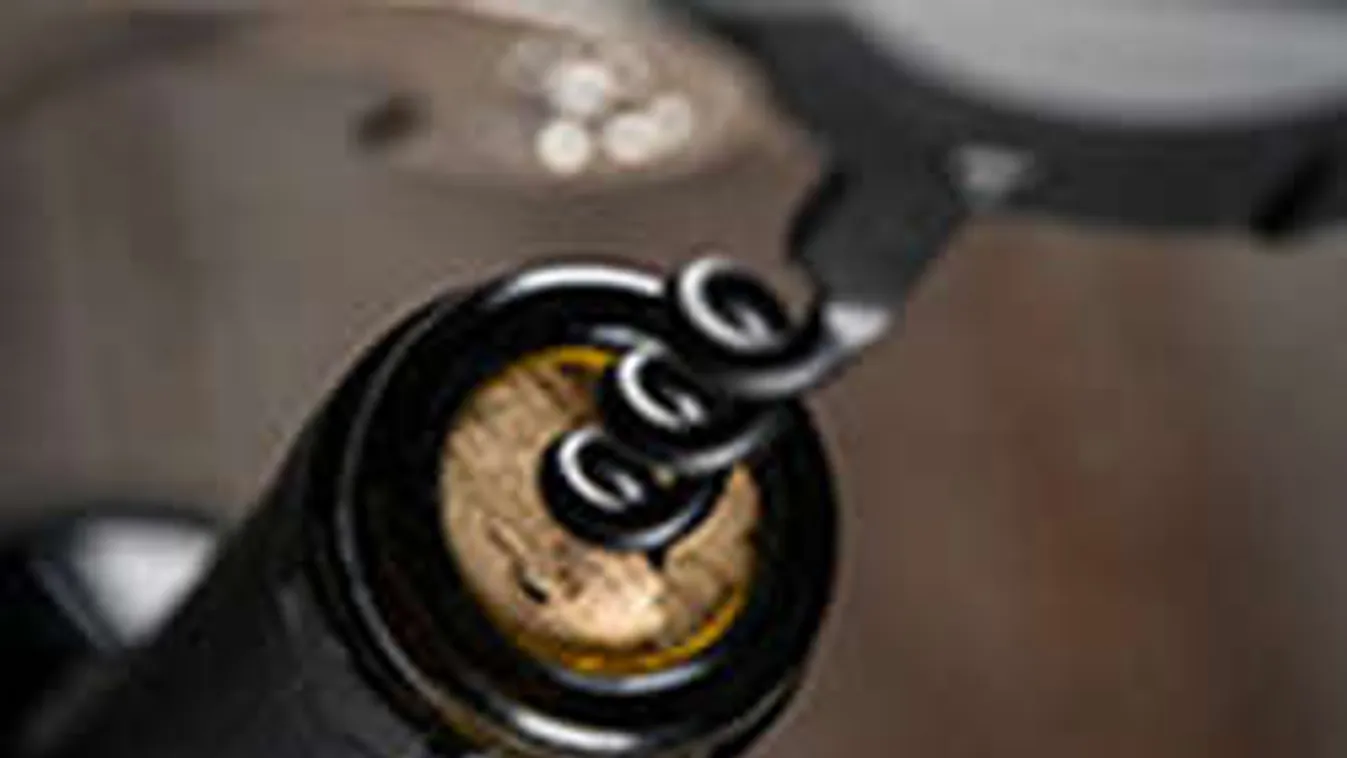 Kreatív fesztiválokból idén sincs hiány