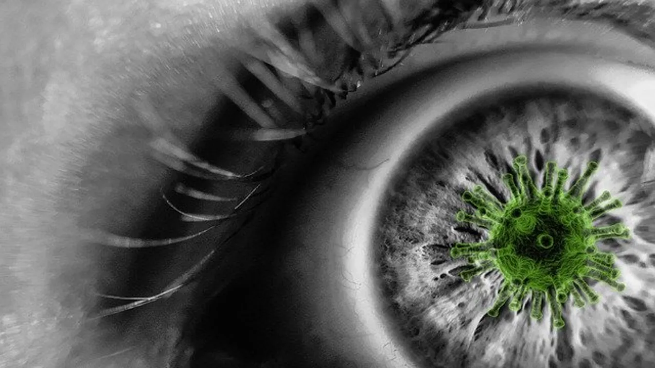 Nincs menekvés? Elrejtőzhet a koronavírus a gyógyultak szervezetében!