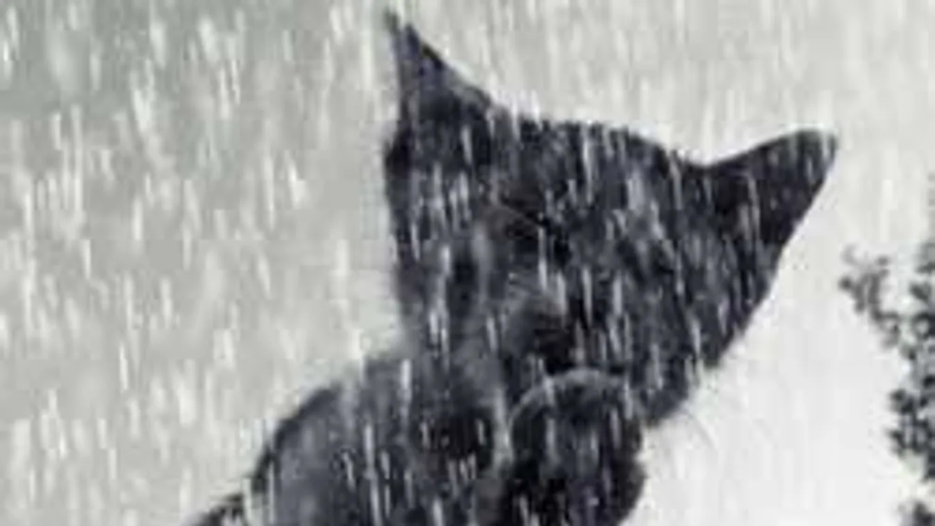 Nagy viharok és dermesztő hideg - augusztus 20-át nem ússzuk meg szárazon