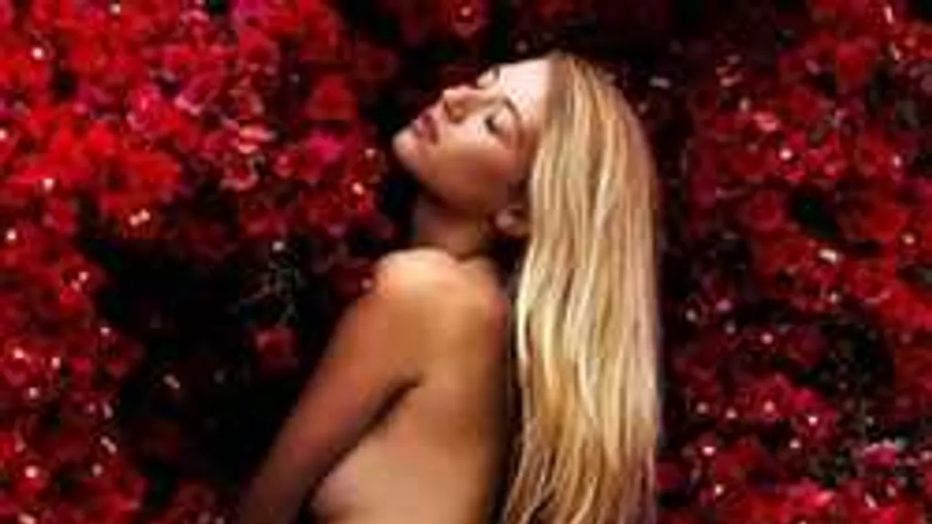 Félmeztelenül fotózták le az italozó modellt egy házibuliban!